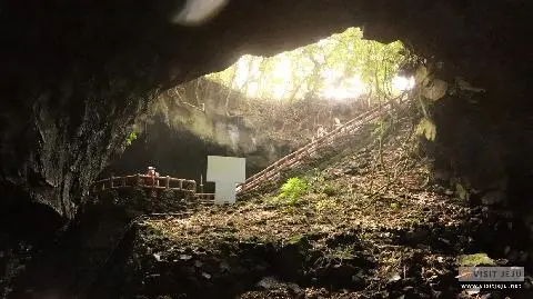 World Heritage Festival Special Expedition 대표이미지