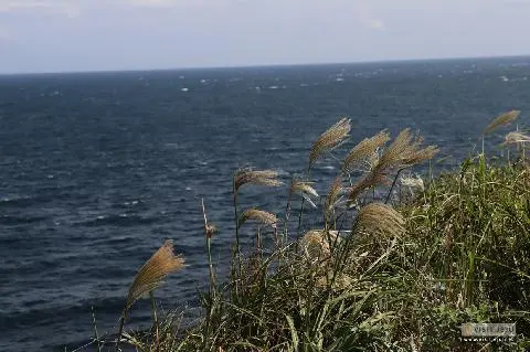 제주 '물멍'하기 좋은 SPOT 5 대표이미지