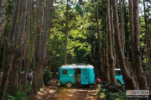더 유명해지기 전에 꼭 가봐야 할 <TV 속 명소> 대표이미지