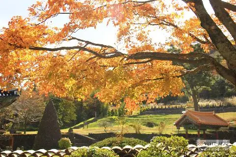 Cozy and Warm: Jeju Scenery in Fall 대표이미지