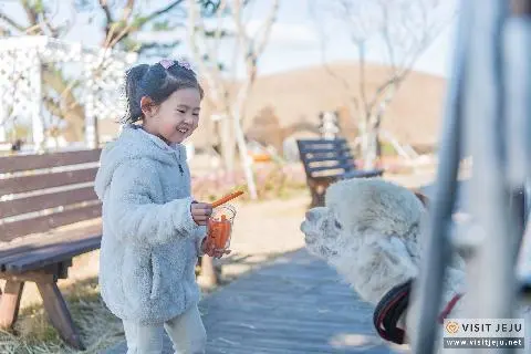 Animal Experience Programs for Kids 대표이미지
