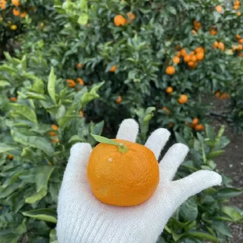 비짓제주 방문객들이 추천한 <가심비 따라 떠나는 #제값하는착한가게 여행!>