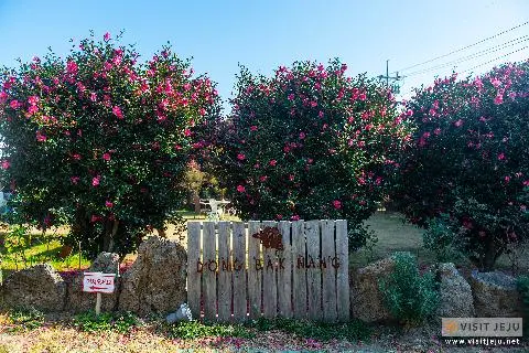 가격 착하고 감성 충만한 언택트 시대의 꽃 <무인카페> 대표이미지