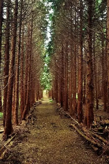 withコロナの旅におススメの宿3選