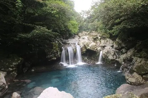 开启济州的幸运之旅 대표이미지