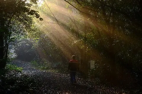 濟州觀光公社選定的wellness旅遊景點 대표이미지