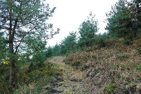 Gase Oreum Volcanic Cone