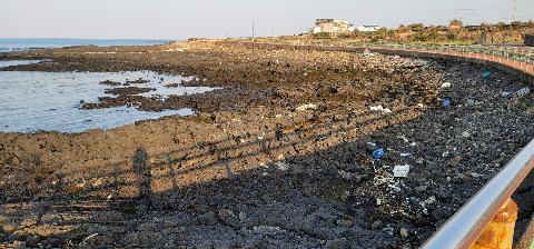 세화해변 리뷰사진3