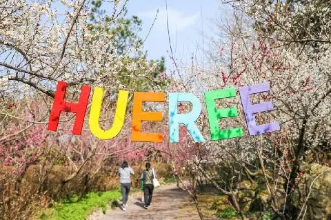 Hueree Maehwa Flower Festival 대표이미지