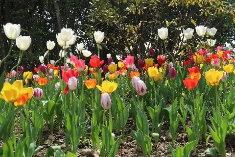 제주 여행 중에 만난, <내맘속 착한 업체를 소개합니다. 이벤트!>