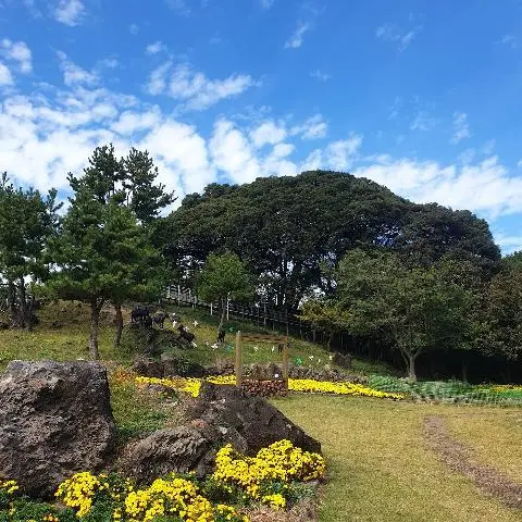 제주 여행 중에 만난, <내맘속 착한 업체를 소개합니다. 이벤트!>