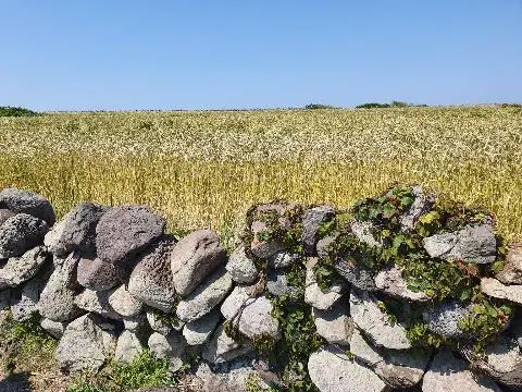 제주 여행 중에 만난, <내맘속 착한 업체를 소개합니다. 이벤트!>
