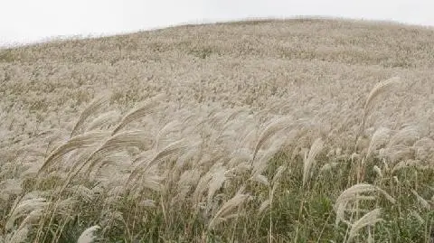 제주 여행 중에 만난, <내맘속 착한 업체를 소개합니다. 이벤트!>
