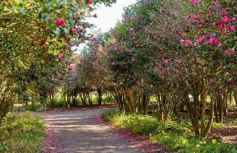제주 여행 중에 만난, <내맘속 착한 업체를 소개합니다. 이벤트!>