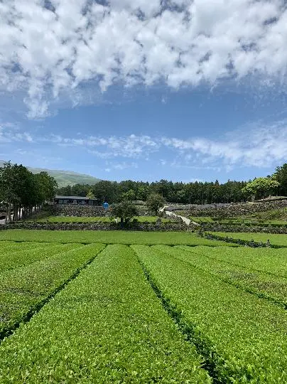 제주 여행 중에 만난, <내맘속 착한 업체를 소개합니다. 이벤트!>