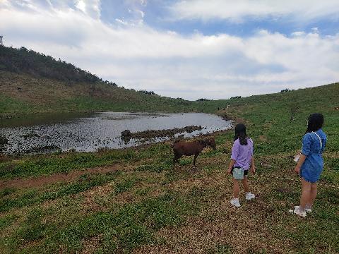 제주 여행 중에 만난, <내맘속 착한 업체를 소개합니다. 이벤트!>