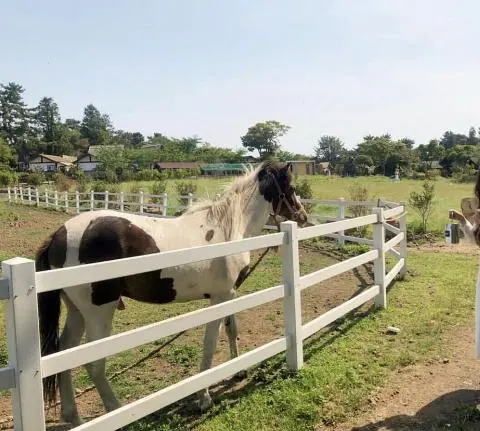 제주 여행 중에 만난, <내맘속 착한 업체를 소개합니다. 이벤트!>