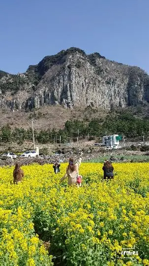 제주 여행 중에 만난, <내맘속 착한 업체를 소개합니다. 이벤트!>