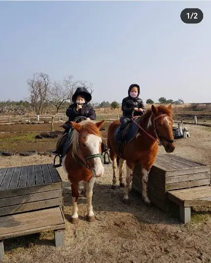 제주 여행 중에 만난, <내맘속 착한 업체를 소개합니다. 이벤트!>
