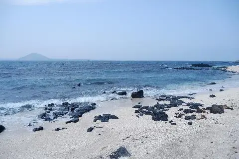 제주 여행 중에 만난, <내맘속 착한 업체를 소개합니다. 이벤트!>