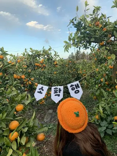 제주 여행 중에 만난, <내맘속 착한 업체를 소개합니다. 이벤트!>