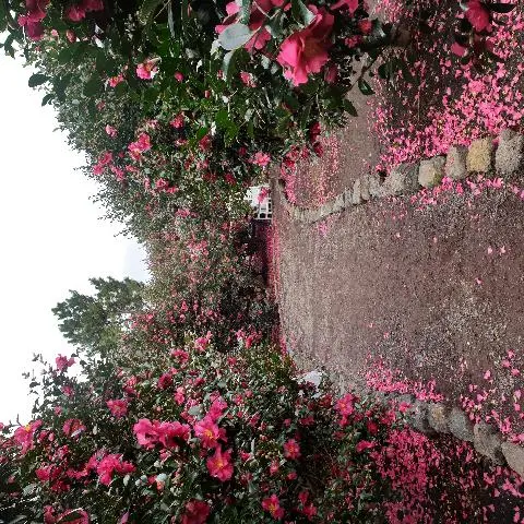 제주 여행 중에 만난, <내맘속 착한 업체를 소개합니다. 이벤트!>