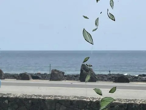 제주 여행 중에 만난, <내맘속 착한 업체를 소개합니다. 이벤트!>