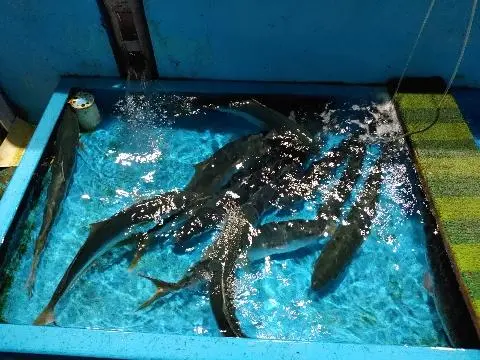 제주 여행 중에 만난, <내맘속 착한 업체를 소개합니다. 이벤트!>