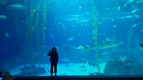 제주 여행 중에 만난, <내맘속 착한 업체를 소개합니다. 이벤트!>