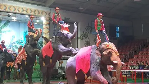 제주 여행 중에 만난, <내맘속 착한 업체를 소개합니다. 이벤트!>