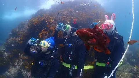 고포잇다이브센터 대표이미지