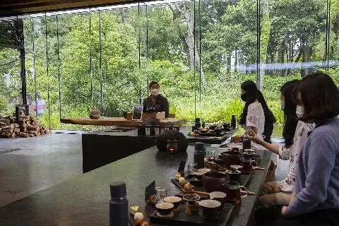 A Calming Green Tea Experience 대표이미지