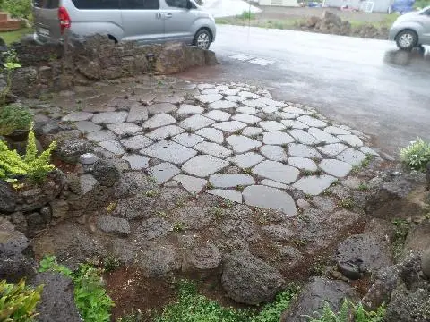 나미송 머무는 곳