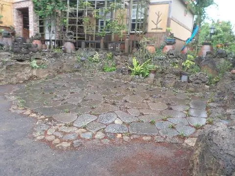 나미송 머무는 곳