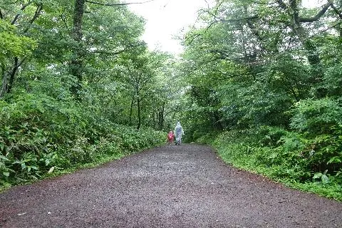 비오는 날 가기 좋은 제주 여행지 대표이미지