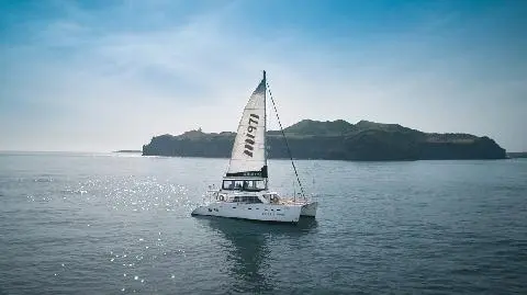 M1971 요트투어 대표이미지