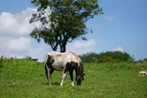 10 Safe Non-contact Tourist Spots in Southern Jeju 대표이미지