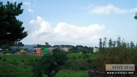 Citrus Museum Wollabong Promenade