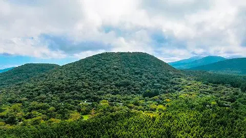 自然生態系の宝庫 <済州の森に旅立つ散歩道> 대표이미지