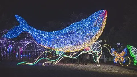 沿著<平和路>，創造滿足五種感官的特殊回憶 대표이미지