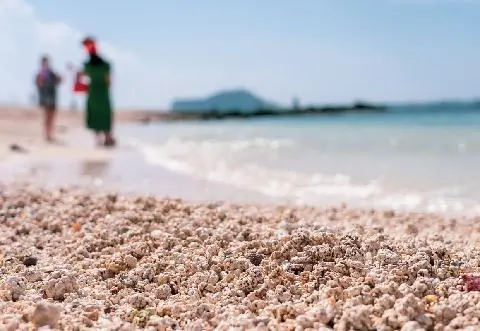 The Marvelous Views of Udo Island 대표이미지