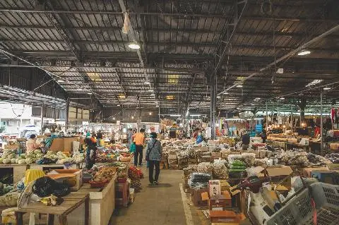 제주전통시장 <오일장-서귀포시편> 대표이미지