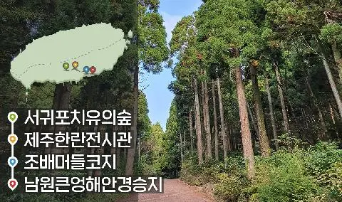 [같이가치 제주여행] 18. 산길 따라 따뜻한 남원으로 떠나는 여행 대표이미지