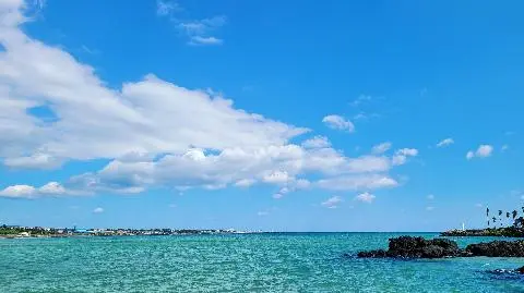 표선해수욕장 리뷰사진2