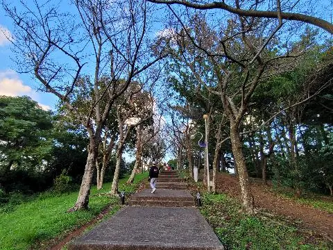 사라봉공원 리뷰사진2