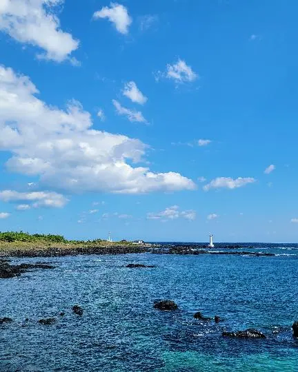 표선해수욕장 리뷰사진3