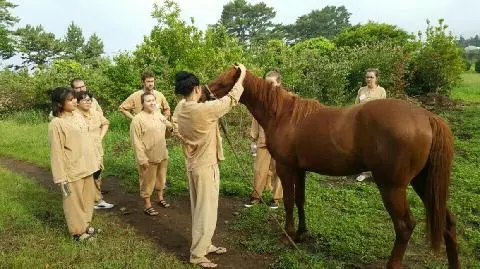 Yakcheonsa Temple Stay 대표이미지