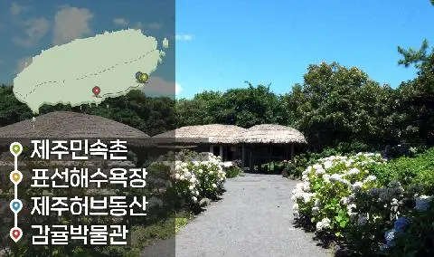 [같이가치 제주여행] 24. 아기자기 꾸며진 제주 즐기기 대표이미지