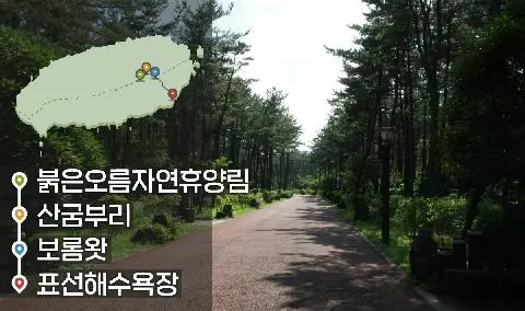 [같이가치 제주여행] 02. 제주 자연의 색채를 즐기는 여행 대표이미지