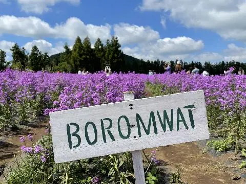 Boromwat 대표이미지